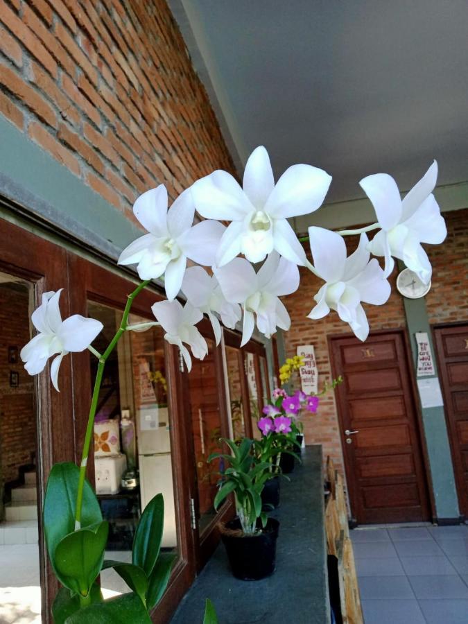Bua Guest House Medan Kültér fotó