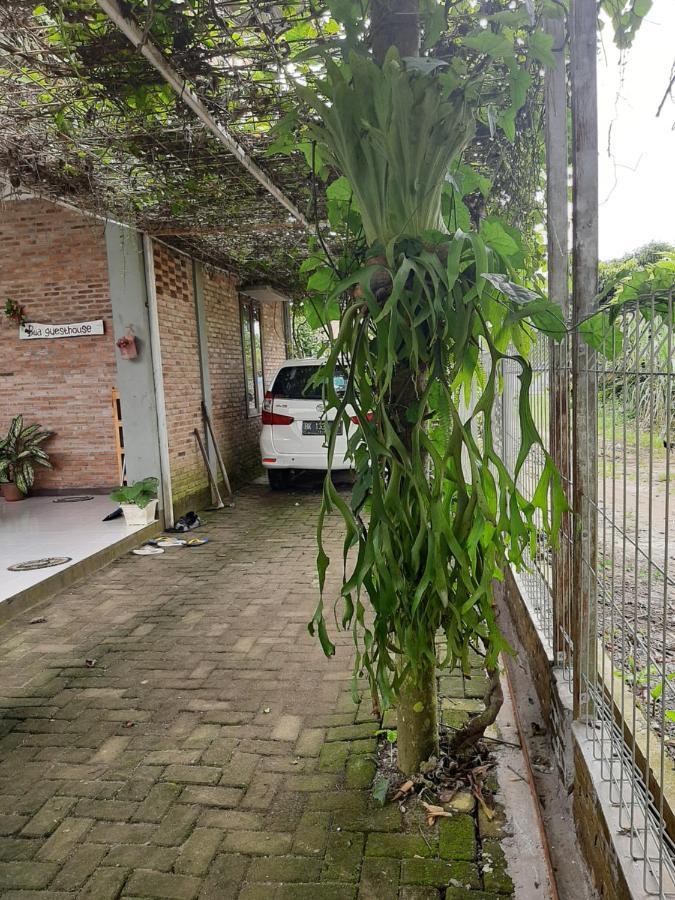Bua Guest House Medan Kültér fotó