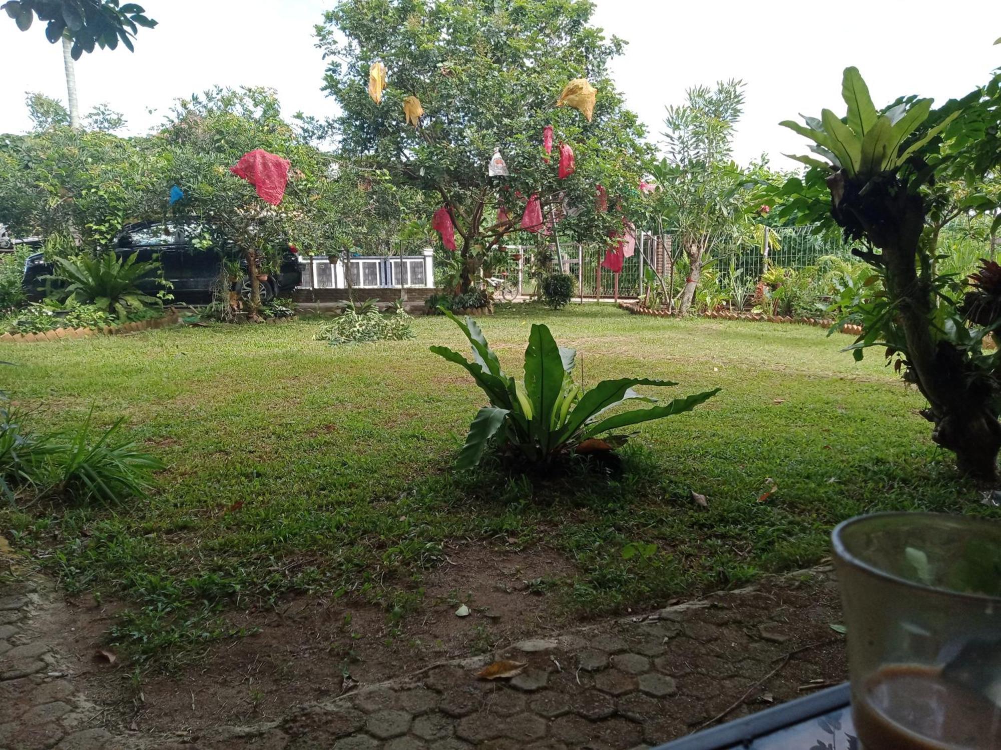 Bua Guest House Medan Kültér fotó