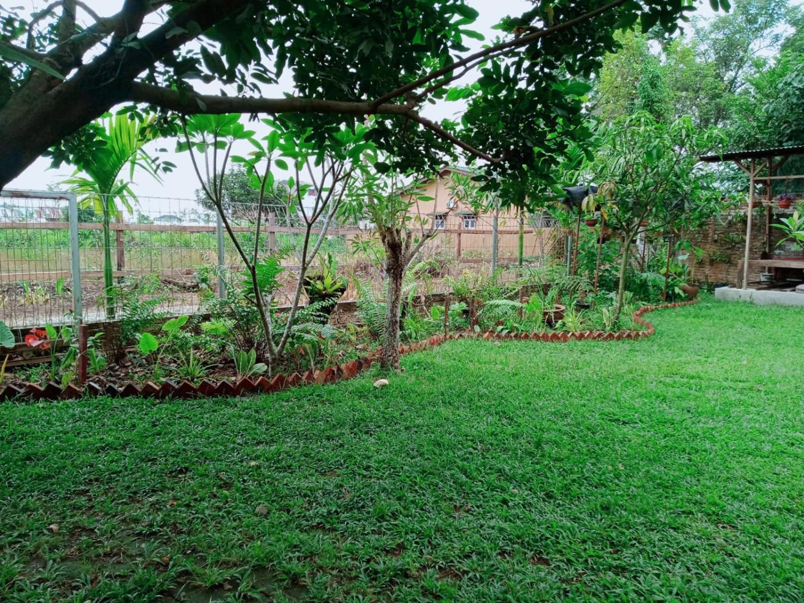 Bua Guest House Medan Kültér fotó